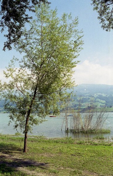 9e2000-060.jpg