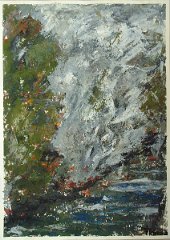 DSCF0517