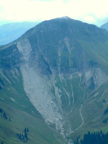 DSCF0486.jpg