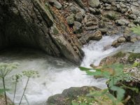 lino_115