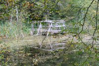 aurelie_482