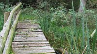 charlotte_204