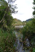 fannyr_384