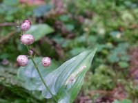 marine_371