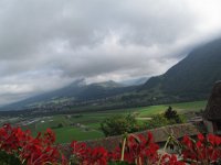 armelinda_271