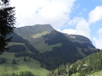 coralie_543