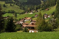drene_364