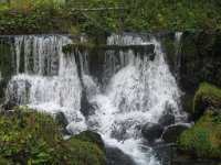alicia_336
