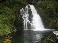alicia_337