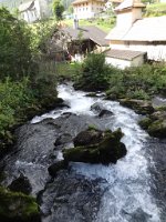 coralie_508