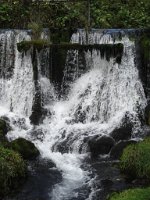 coralie_529
