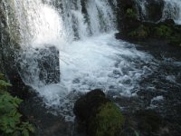 diane_787