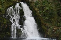 drene_359