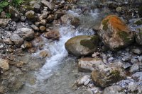 drene_374