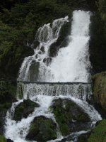 fannyH_426