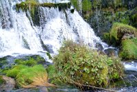 fannyr_531