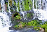 fannyr_532
