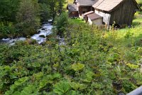 fannyr_533