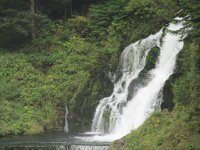 lino_381