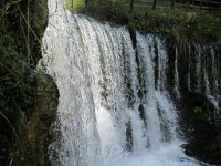 lino_396