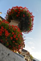 fannyr_459