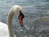 charlotte_387