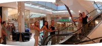 pano_amelie