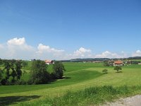 armelinda_077
