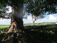 davide_110