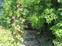 jules_023
