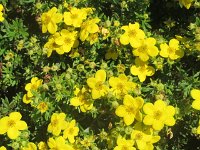 julieDomon_071