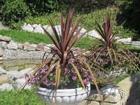 lino_007