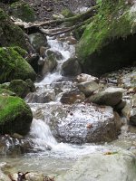julieDomine_536
