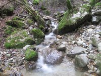 julieDomon_347