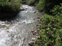 julieDomon_491