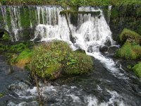 julieDomon_495
