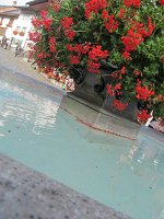 julieDomon_361