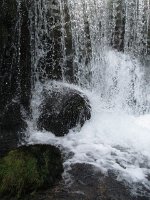 08-Jaun