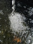 jenny_031