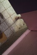 nouss_003