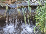 shugirshan_021
