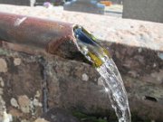 thomas_049