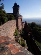 laura_016