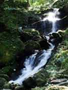 laura_026