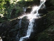 loica_141