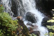 luca_132