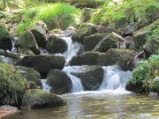 ruth_285