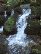 shugirshan_146
