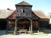 loica_166