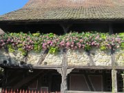 thomas_384